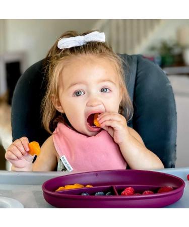 Bazzle Baby Anchor Plate | Strong Suction | BPA-Free Silicone | Divided Design | 3-36 Months | Cranberry - Buy Online on GoSupps.com