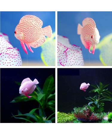 Buy Numama Artificial Fish for Aquarium | Colorful 4pcs Decorative Ornaments for Fish Tanks - Buy Online on GoSupps.com