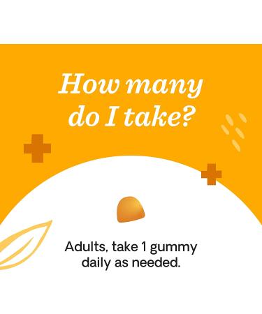 Hello Bello Elderberry Immunity Gummies - Vitamin C & Zinc, Natural Flavor, 75 Count - Buy Online on GoSupps.com