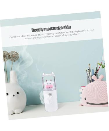 Humidificateur Portable Vaporisateur Hydratant Humidificateur Pour Le Visage Brume De Soin Pour La Peau L ger Mini Pour Le Visage Portable - Buy Online on GoSupps.com