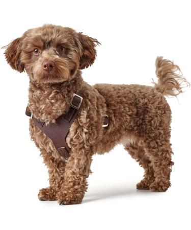 HUNTER Aalborg Leather Dog Harness - XS Dark Brown | Premium International Shipping - Buy Online on GoSupps.com