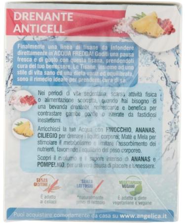 Italian Gourmet E.R. Angelica Anticellent Cold Tea Set of 5 iced herbal teas with citrus notes of grapefruit and sweet notes of pineapple and cherry 18 filters + 400g box. Gourmet Italian Polpa di Pomodoro - Buy Online on GoSupps.com