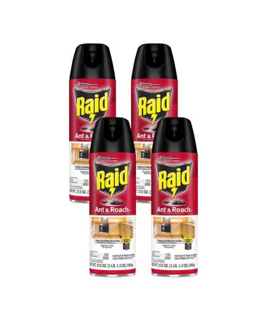 Raid Ant and Roach Killer Fragrance Free 1.09 Pound (Pack of 4)