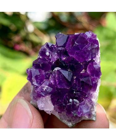 Amethyst Natural Rock Quartz Amethyst Cluster Druzy Geode Specimen(Quantity Choice : 5Pcs Size Choice : 30-40g) ningxiao (Color : 10-20g Size : 10Pcs) 10Pcs 10-20g - Buy Online on GoSupps.com