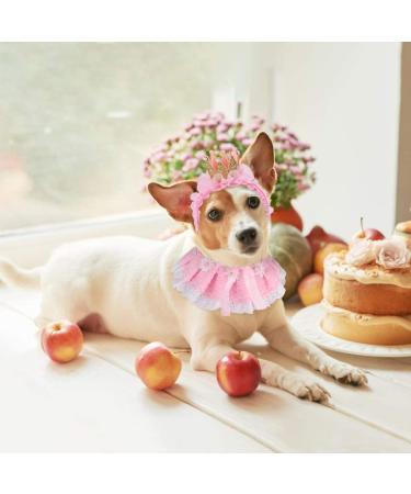 Legendog Princess Cat Bandana & Crown Costume Set for Birthday Parties - Pink - Buy Online on GoSupps.com