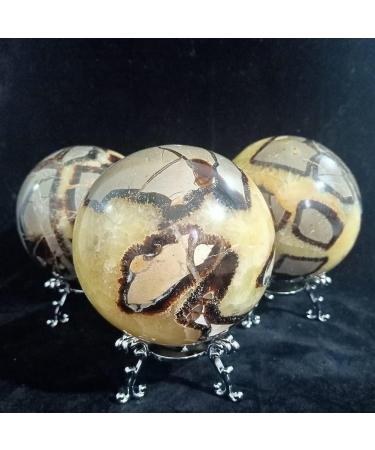 Natural Septarian Dragon Crystal Gem Geode Specimens - Buy Online on GoSupps.com
