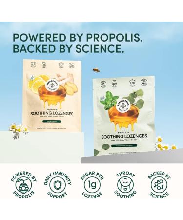 Buy BEEKEEPERS NATURALS Ginger Lemon Lozenges - 14 CT | Natural Wellness & Immune Support | International Shipping Available - Buy Online on GoSupps.com