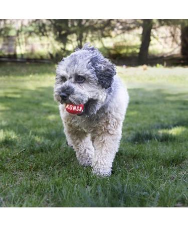 KONG - Signature Balls - 2 Pack Durable Ball for Chasing and Retrieving - For Medium Dogs Red M - Buy Online on GoSupps.com
