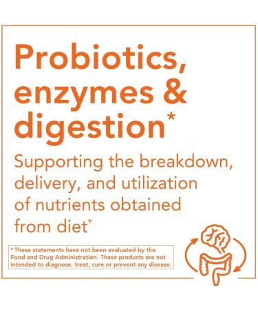 Now Foods Organic Inulin Prebiotic Powder 8 oz | Digestive Health & Fiber - Buy Online on GoSupps.com