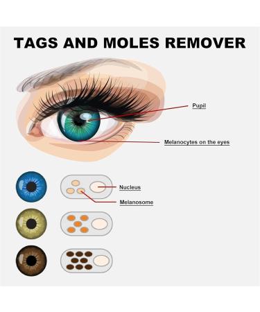 GR33N Jimerito Honey for Eye GR33N Jimerito Honey Eye Drops Wild Bee Honey Eye Drops Without Stings Promoting Healthy Vision (2 pcs) - Buy Online on GoSupps.com