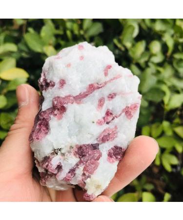 Natural Crystal Rough Natural Crystal Rough Rough Stone Red Tourmaline Crystal Quartz 200g-500g for Decoration 1pc (Color : 1PC 410g-500g) (Color : 1pc 310g-400g) - Buy Online on GoSupps.com