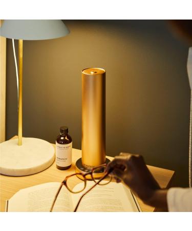 AromaTech Between The Sheets Premium Aroma Oil Indulgent & Cozy Home Fragrance - Notes of Washed Linen Hibiscus & Bergamot for Scent Diffusers (0.33 Fl Oz (Pack of 1)) - Buy Online on GoSupps.com