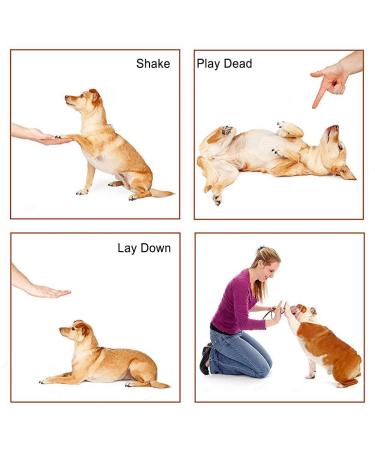 CRLLDPM Dog Training Clickers - 3 Pack with Hand Loop | Perfect for Dogs Cats & Horses | Clicker Training Tools | International Shipping - Buy Online on GoSupps.com