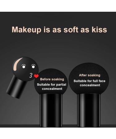 Mushroom Head Air Cushion CC Cream Set - Long Lasting Nude Matte Concealer & Foundation Waterproof BB Cream High Coverage Makeup for Women - Buy Online on GoSupps.com