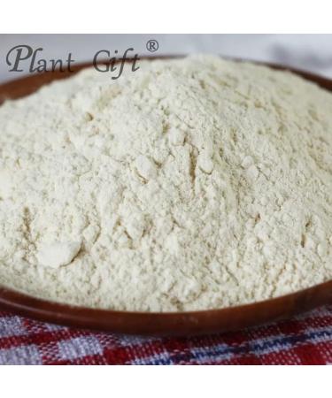 100% Pure Garlic Powder - Natural Healthy Spice for Smoothies, Cookies & Beverages - Non-GMO, No Fillers/Additives - 100g/3.25oz - Buy Online on GoSupps.com