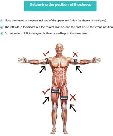 BFR Blood Flow Restriction Bands Complete Arm Package for Legs Occlusion Training Compact Training System Carrying Case (Full Set) - Buy Online on GoSupps.com