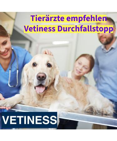 Vetiness Diarrhea Paste 60 ml for Dogs & Cats | Acute Diarrhea Relief for Dogs Over 30 kg | Supports Diarrhea & Vomiting | Special Package for All Sizes - Buy Online on GoSupps.com
