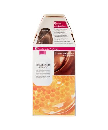 L'Or al Paris Ammonia-Free Hair Color 613 Blond Iced Coffee - 1 Pack - Shop Internationally - Buy Online on GoSupps.com