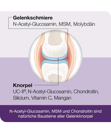  Dr. Loges flexiLoges Active Cartilage 240 capsules Coordinated nutritional concept for healthy joint function - Buy Online on GoSupps.com