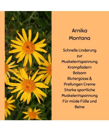  green idea green idea - Arnica Montana Herb Extract - Sports Massage - For Bruises and Sprains - Bruises - Hair Strengthening - Muscle Relaxation - Natural - With Menthol 100 ml - Buy Online on GoSupps.com
