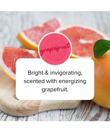 American Ostrich Farms Moisturizing Body Balm Stick | Soothing Lotion Bar Grapefruit Grapefruit 2.2 Fl Oz (Pack of 1) - Buy Online on GoSupps.com