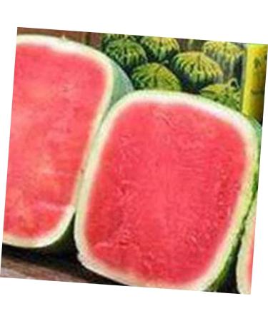 Generic 3pcs Vegetables Watermelon Growing Mold Fruit Shaping Molds Tool Pumpkin Square Forming Machine 15x15cmx3pcs Transparentx3pcs - Buy Online on GoSupps.com