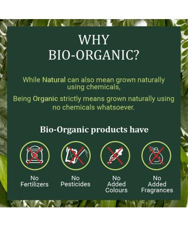 INDUS VALLEY BIO Organic Multani Mitti Powder - 300g | Healing & Bentonite Clay - Buy Online on GoSupps.com