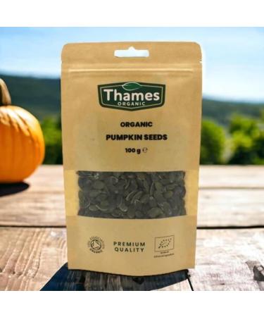 Thames Organic 500g: Raw Vegan Non-GMO Certified Organic Pumpkin Seeds - Nutritious Snack for Baking and Sprinkling - Buy Online on GoSupps.com