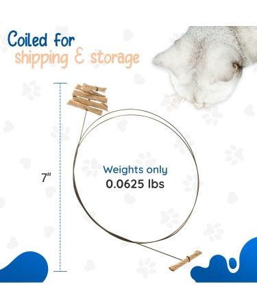 CAT DANCER CATD0101D Cat Toy for Small Breeds - Pack of 2 | Best International Shipping - Buy Online on GoSupps.com