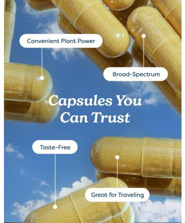 Herb Pharm Guayusa Capsules: USDA Organic Nootropic Brain Supplements for Focus Herbal Nootropic & Energy Support| 60 Vegan Capsules 30 Day Supply* - Buy Online on GoSupps.com