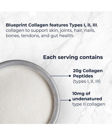 Blueprint Bryan Johnson Hydrolyzed Collagen Peptides Powder Type I II & III Collagen for Women & Men Unflavored Protein Supplement for Hair Skin Nails Joints & Cartilage 20g 30 Servings - Buy Online on GoSupps.com