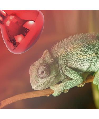 Naveso 100W Infrared Heat Lamp for Reptiles & Animals - Durable E27 Base Red Light Radiators (2 Pack) - Ideal for Turtles Chickens & Terrariums - Buy Online on GoSupps.com