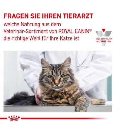ROYAL CANIN Veterinary Mobility | 400 g | Dry food for cats | Complete food for adult cats with joint problems | to support joint function - Buy Online on GoSupps.com