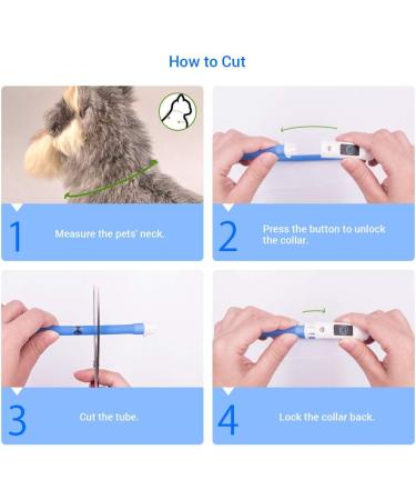 Laroo LED Luminous Dog Band - Adjustable Waterproof USB Collar for Small Medium & Large Dogs and Cats | 3 Modes - Sky Blue - Perfect for Night Safety - Buy Online on GoSupps.com