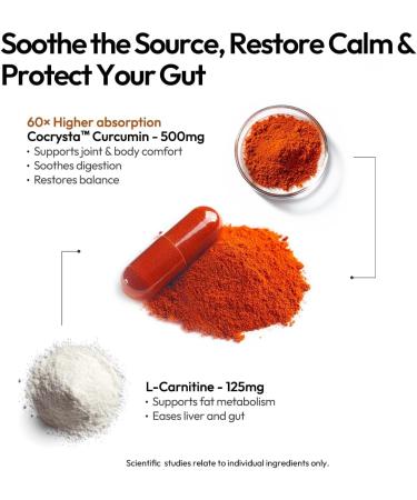 BIGVITA CoCrystal Curcumin+ | 6.3X Absorption with Curcumin & L-Carnitine | Dietary Supplement for Daily Wellness | 60 Capsules | Made in USA - Buy Online on GoSupps.com