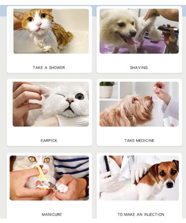 Zerodis Cat Nail Covers - 100 Soft Pet Nail Caps for Dogs & Cats - Safe Anti-Scratch Claw Protectors (M White) - Buy Online on GoSupps.com