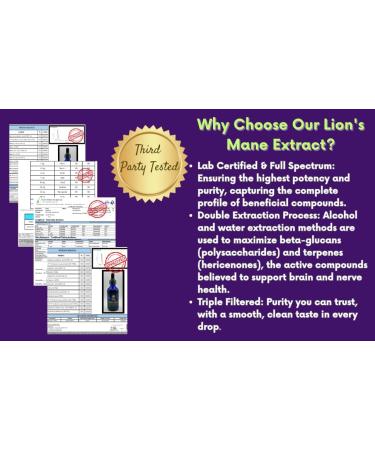 Sporenity Cordyceps Mushroom Extract Tincture 2oz (60ml)-Vegan-Non-GMO-Energy and Athletic Performance-Third Party Tested- Supplemen - Buy Online on GoSupps.com