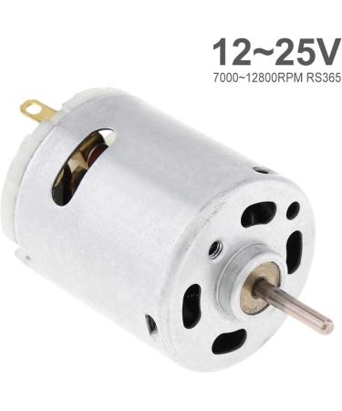 DC Motor 12v Massager Motor Hair Dryer Varistor and Carbon Brush Micromotor for Office Equipment and Household Appliances - Buy Online on GoSupps.com