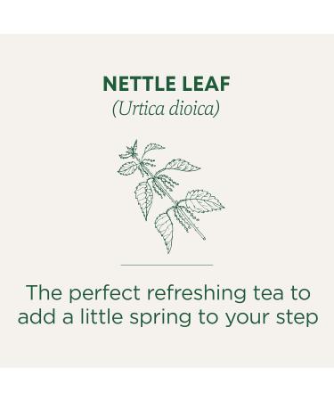 Traditional Medicinals Nettle Leaf 16 Count Tea Bags (6 Pack) Tea Nettle Leaf 16 Count (Pack of 6) - Buy Online on GoSupps.com