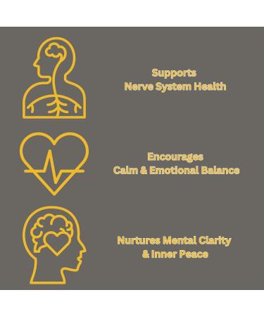 Nerve Comfort Cream Tingling & Foot-Calf Soothing Support | Alpha Lipoic Acid Magnesium Berberine Cinnamon Bark | Nerve 2 oz King & Queen Wellness - Buy Online on GoSupps.com