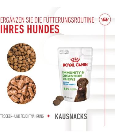 ROYAL CANIN Immunity & Digestion Chews Puppy Supplements | Double Pack | 2 x 100g | Supplementary Feed for Puppies | To Support Digestion & Defences - Buy Online on GoSupps.com