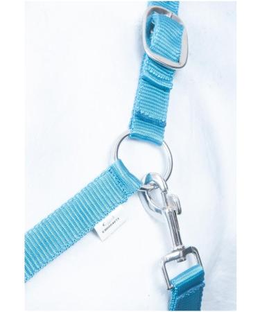 Buy RL24 Nylon Halter BASICLINE in Turquoise/Aqua for Thoroughbreds - International Shipping Available - Buy Online on GoSupps.com