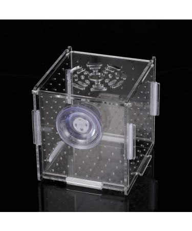 POPETPOP Fish Breeding Box - Isolation Hatchery for Small Baby Fish & Shrimp - Suction Cup Size 1 - Buy Online on GoSupps.com