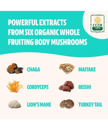 FreshCap Ultimate Mushroom Complex 120ct - Lion's Mane, Reishi, Cordyceps, Chaga, Turkey Tail, Maitake Supplement - Real Fruiting Body, No Fillers - Buy Online on GoSupps.com