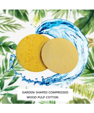 DENGWANG Turmeric Kojic Acid Pads Turmeric Kojic Acid Cleansing Pads Turmeric Exfoliating Pads Kojic Acid and Turmeric Cleansing Pads Turmeric Face Pads for Face (30PCS Yellow) 30PCS Yellow - Buy Online on GoSupps.com