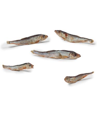 DIBO Fish Dog Treats - 200g Snacks for Dogs | Healthy In-Between Meal Options | International Shipping Available - Buy Online on GoSupps.com