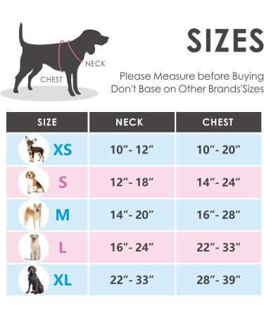 Phoepet Reflective Adjustable Dog Harness - Anti-Educational Training Handle ID Card & XS Size in Orange | 2 Metal Hooks 3 Snap Buckles Easy Fit - Buy Online on GoSupps.com