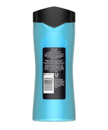 Axe Body Wash - Ice Chillin' - Iced Mint & Lemon Scent - 16 FL OZ (473 mL) x 2 Bottles - Buy Online on GoSupps.com