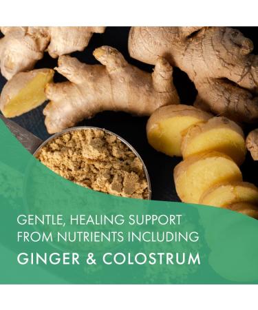 Pure Essence Mother & Child 120 Tablets - Premium Nutritional Support for Moms and Kids - Buy Online on GoSupps.com