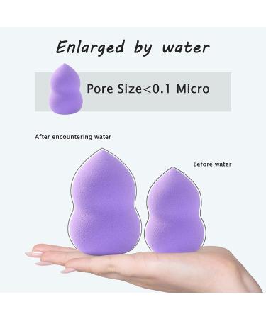 Makeup Sponge Set for Flawless Face - Includes Blender, Holder for Easy Storage - Ideal for Foundation & Powder - Buy Online on GoSupps.com